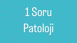 Blefarit Patoloji Soru Çözümü [upl. by Willabella]