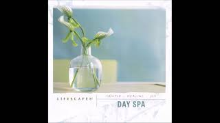 Day Spa  Tim Frantzich [upl. by Oiruam]