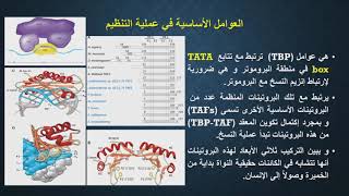 تنظيم التعبير الجيني في حقيقيات النواة [upl. by Bellina]