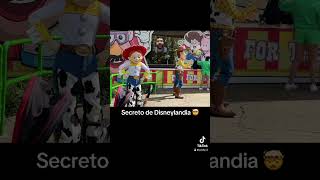 El secreto de Disneylandia parati viral viralvideo viralshorts disney disneylandia disneyplus [upl. by Margit]