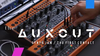 BEHRINGER CRAVE  synth jam  the first contact [upl. by Reseta282]