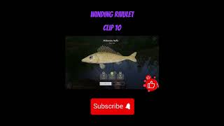 Russian fishing 4  Donets Ruffe trophy  winding rivulet lake [upl. by Chainey]