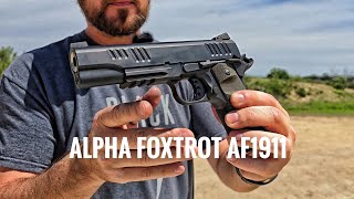 Great Gun Great Price Alpha Foxtrot AF1911 Range Review [upl. by Lenahtan]