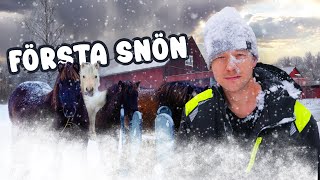 HÄSTARNA ÄR INSNÖADE 🐴 [upl. by Akeimat]