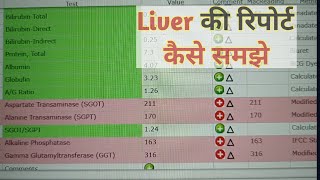 LFT test report kaise dekhe  Liver function test [upl. by Ladnek659]