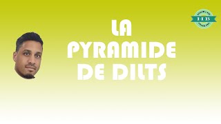 Exercice PNL  La pyramide des niveaux logiques de Dilts [upl. by Anahpets]