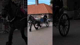 🐴 Ringrijden Sjezen Middelburg🇳🇱 Netherlands TravelwithHugoF ringrijden middelburg netherlands [upl. by Vanden865]