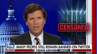 TUCKER CARLSON Alex Berenson sues Twitter over COVIDrelated ban [upl. by Eycats]