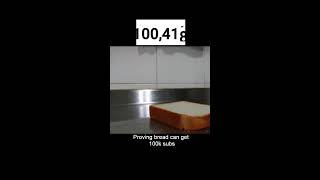 PROVING BREAD CAN GET 100k SUBS🍞🥐🥪🥖 [upl. by Sikleb994]