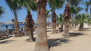 Brayka Bay Reef  Beautiful Beach Marsa Alam  Egypt Resort brayka [upl. by Arehahs]