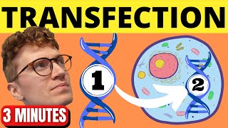 QUICKLY Understand Transfection [upl. by Enawyd]