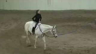 Horsemanship Drills Hunt Seat Drills at the Posting Trot [upl. by Eidnil]