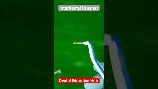 Dental Interdental Brushes [upl. by Earla]