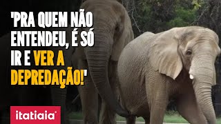 LEILÃƒO DO ZOOLÃ“GICO DE BH TERMINA SEM LANCES NENHUMA EMPRESA SE INTERESSOU  EDUARDO COSTA [upl. by Kinimod581]