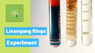 Making the Liesegang Rings Experiment [upl. by Carrie445]