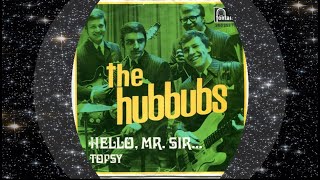 The Hubbubs 1969 Hello Mr Sir [upl. by Ynehpets]