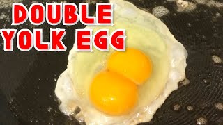 How to Crack a Double Yolk Egg shorts [upl. by Odlawso]