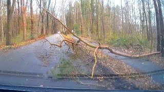 Umgestürzter Baum blockiert Fahrradweg  Sturm in Bocholt [upl. by Arin]