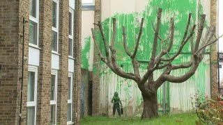 Fresh Banksy mural appears in north London  AFP [upl. by Shoifet]