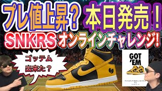 ゴッテムなるか？ウータン・クラン × ナイキ ダンク ハイ レトロ PRM quotブラック アンド パランquot WuTang x Nike Dunk High Retro Premium [upl. by Corney]