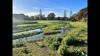 Wilbury Way Wetlands [upl. by Sirrad]