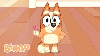 Laugh Out Loud with Bingo 😁  Adorable Bluey and Bingo Moments ✨🧡  Bingo  Official Channel [upl. by Eckel]