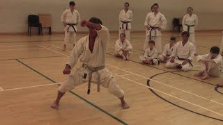 hotton sensei dublin 2018 elements of sochin kata [upl. by Nwahsear]