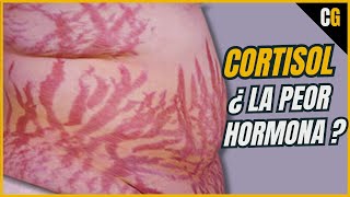 Cortisol  ¿La PEOR Hormona de Todas  Síndrome de CUSHING y Efectos del CORTISOL Estrés 22 [upl. by Odlanar]