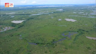 Pantanal Conservation Area Brazil  TBS [upl. by Noryahs]