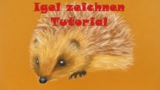 Zeichnen lernen Tutorial Igel mit Pastellkreide [upl. by Deehan]