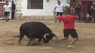 UFF Encierro por el campo Valfermoso de Tajuña 2019 [upl. by Kcire]