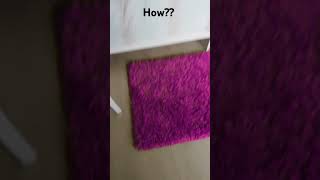 How my carpet is Pink waitwhatmeme [upl. by Lubbi]