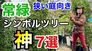 【意外と知らない】コンパクトな庭におすすめな常緑シンボルツリー 7選 【カーメン君】【園芸】【ガーデニング】【初心者】 [upl. by Pet852]