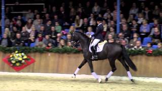 Florenz  Sosath Stallion Show 2014 [upl. by Anilra767]