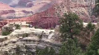 Onlookers scream as woman falls to her death at the Grand Canyon [upl. by Nyleuqaj]