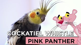 PINK PANTHER COCKATIEL WHISTLE [upl. by Smaj521]