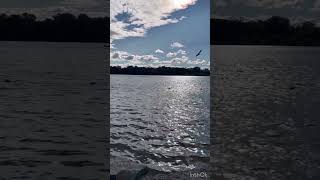 Lac leamy beach Canada [upl. by Halette]