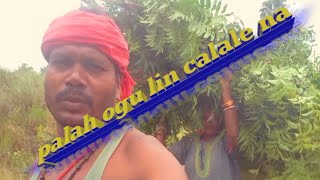 palah ogu lin cala lenanew santalibolk videoviral bolk videosantali bolk videosakila rusik [upl. by Lansing925]