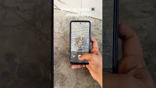 Amazing 🕷 photography using Mobile oppomobileindia youtubeshorts youtubeshort shorts [upl. by Humfried149]