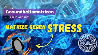 Garjajevs Gesundheitsmatrizen Matrize gegen Stress [upl. by Couture553]