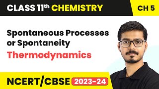 Spontaneous Processes or Spontaneity  Thermodynamics  Class 11 Chemistry Chapter 5 [upl. by Jillana]