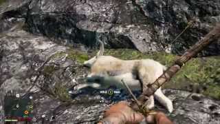 Far Cry 4  BHARAL Location this animal seems illusive MapSpawn point [upl. by Ettelrats841]