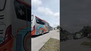 Rosin 3134 suosss rosaliaindah trending viralvideo busmania shorts [upl. by Nitsirc]