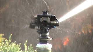 Rain Bird 2045PJ Impact Sprinkler [upl. by Nnahtebazile]