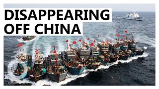 Chinese Ships ‘Going Dark’ in East China Sea [upl. by Nahsed437]