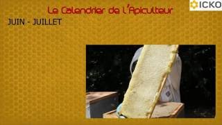 Apiculture  calendrier apicole juin à juillet  Truffaut [upl. by West]