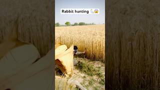 Rabbit hunting  Khargosh ka shikar 🐇😱 hunting rabbit farming khargosh rabbits hunter [upl. by Sivat939]