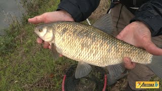 MONDO PESCA  PIGHI CAVEDANI BARBI CON LA SCALARINA E BIGATTINI INCOLLATI  CANALE VACCHELLI  CR [upl. by Yerhpmuh656]