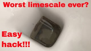 How to Remove Hard Water Stains amp Limescale from your toilet bowl FAST amp EASY [upl. by Bradan]