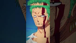 Zoro toma a dor de Luffy [upl. by Goda180]